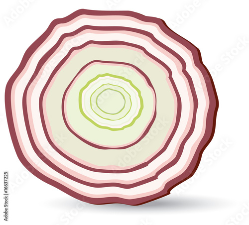 zwiebel