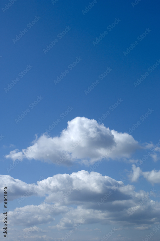 Fototapeta premium 青空と白い雲