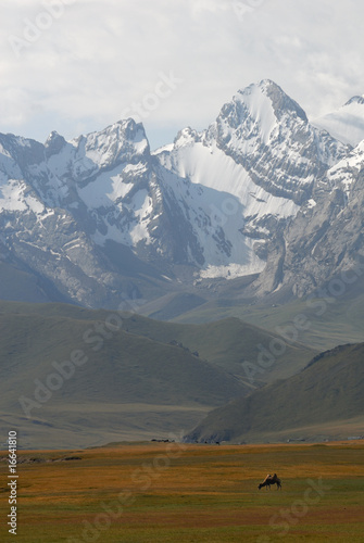 camel on mountains background © Vasiliy Ganzha