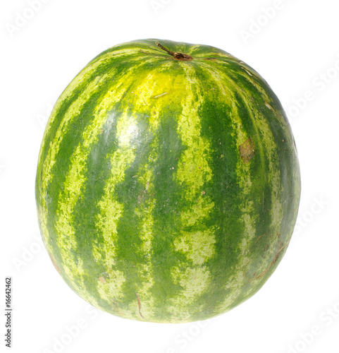 melon. isolated