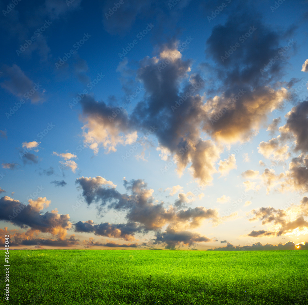 green field and sunset