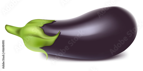 Vector. Aubergine.