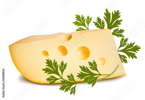 Vector illustration. Cheese with parsley.
