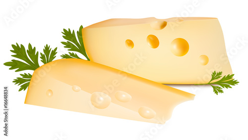 Vector illustration. Cheese with parsley.