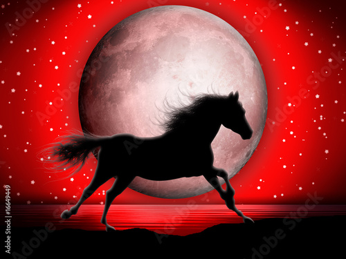 Fototapeta Naklejka Na Ścianę i Meble -  Cavallo e Luna-Horse and Moon-Cheval et Lune