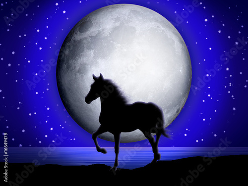 Fototapeta Naklejka Na Ścianę i Meble -  Cavallo e Luna-Horse and Moon-Cheval et Lune-2