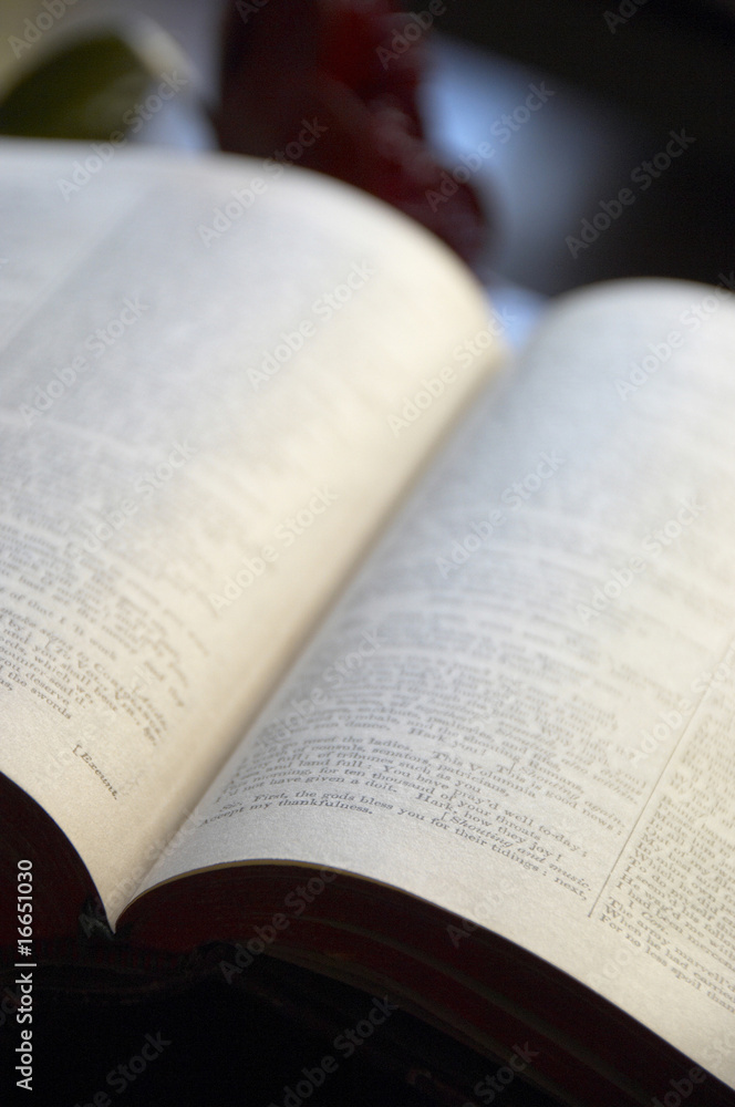 Fototapeta premium 洋書