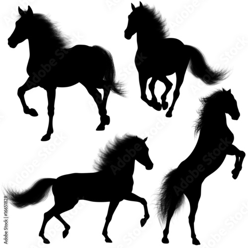 Cavallo selvaggio Sagome-Wild Horse shapes-Cheval Silhouette