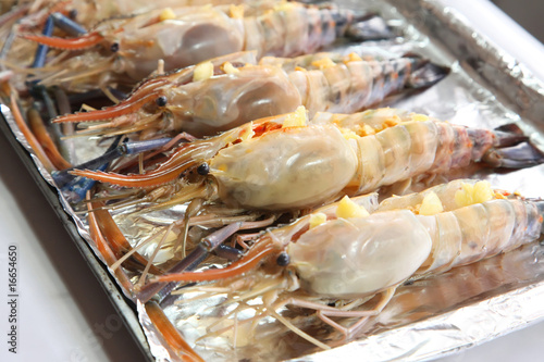 Raw langoustine prawns