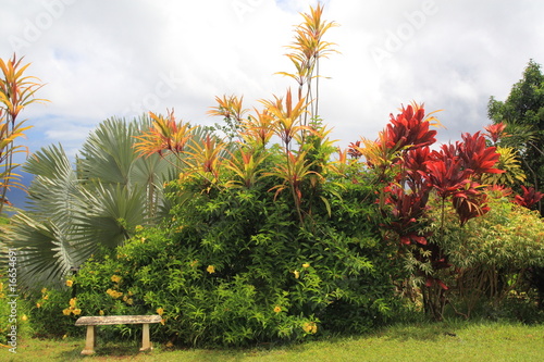 beautiful Hawaiian garden
