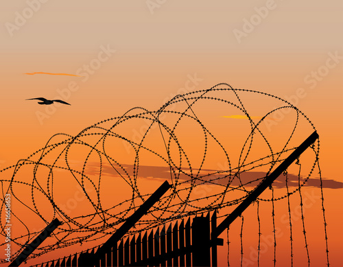 metalic fence with barbed wire against sunset sky