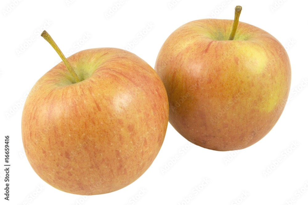 two english apples isolated on white background two english apples isolated on white background