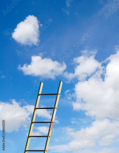 Step ladder