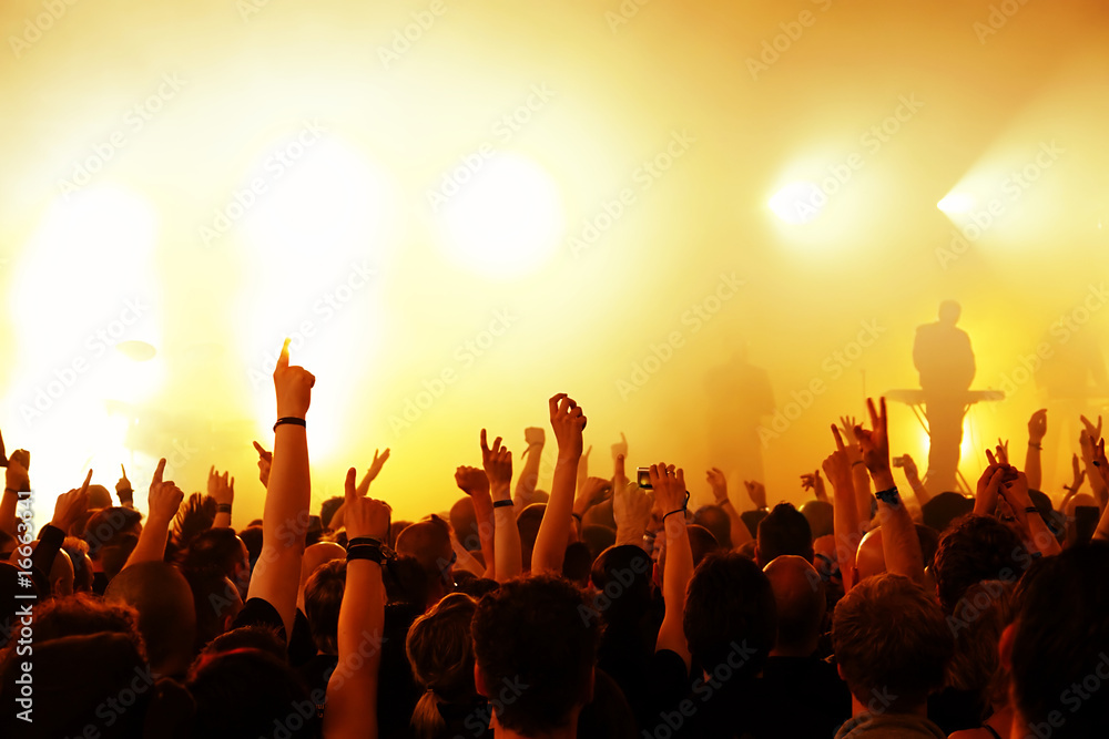 Cheering crowd at concert Cheering crowd at concert