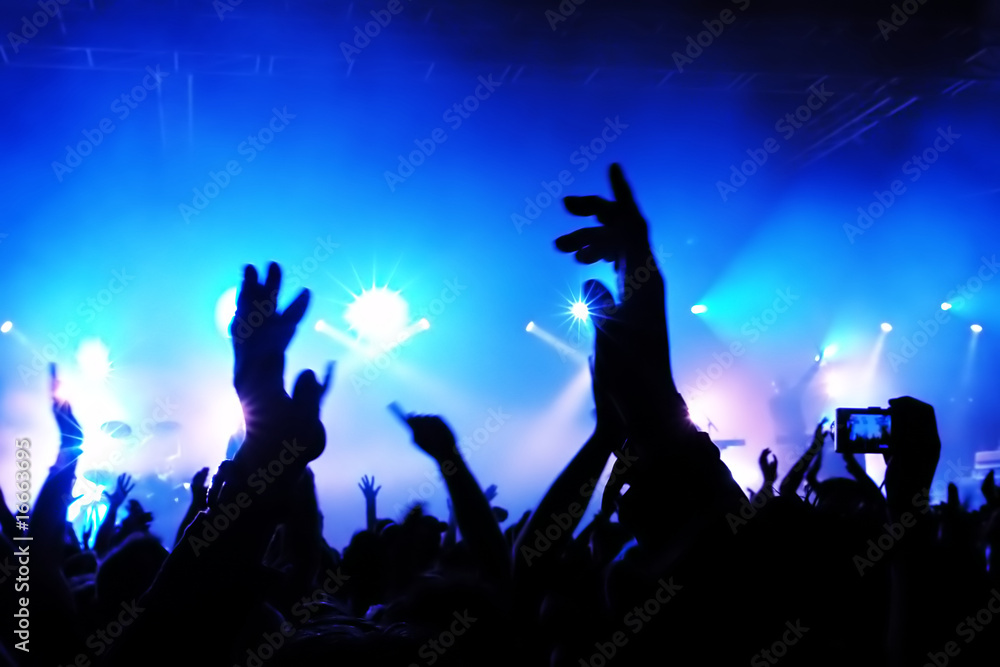 Cheering crowd at concert Cheering crowd at concert