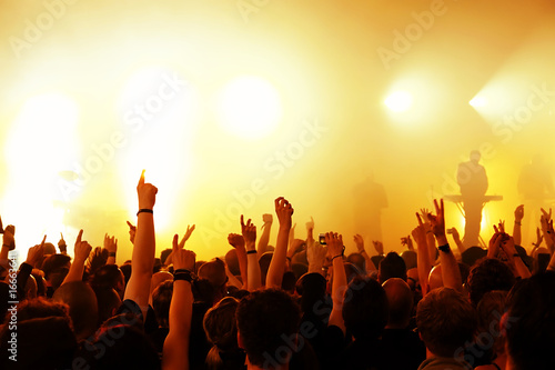 Cheering crowd at concert © DWP
