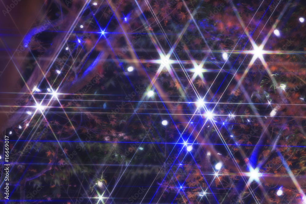 Fototapeta premium イルミネーション