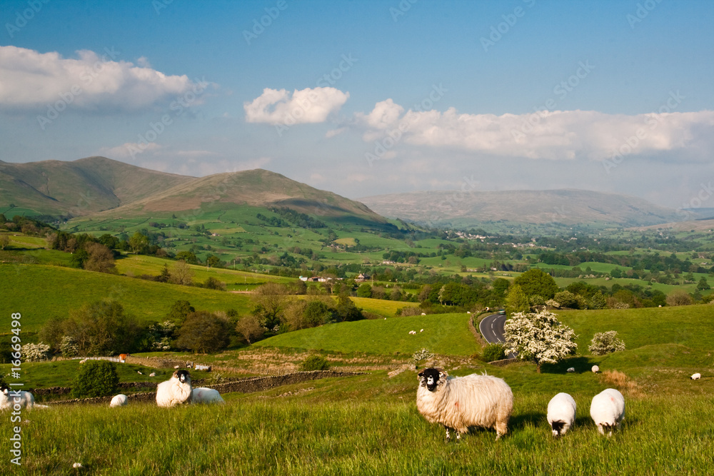 Landscape near Sedbergh