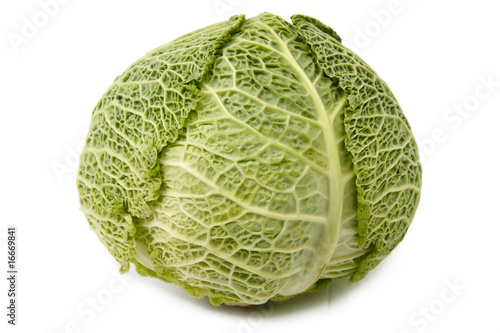 Head of savoy cabbage