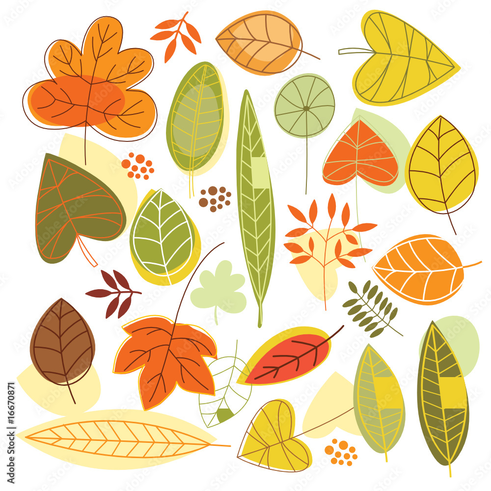 Obraz premium autumnal leaves