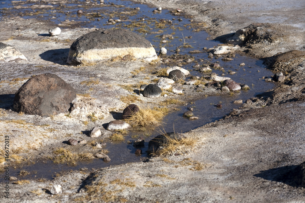 Geysers del tatio on Andes, Chile Geysers del tatio on Andes, Chile
