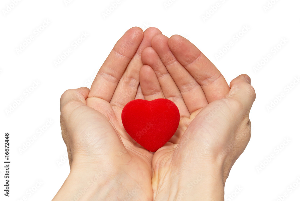 Obraz premium Małe serce valentine w rękach.