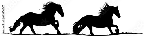 Friesenpferde - Horse