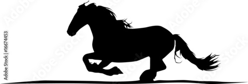 Friesenpferd - Horse