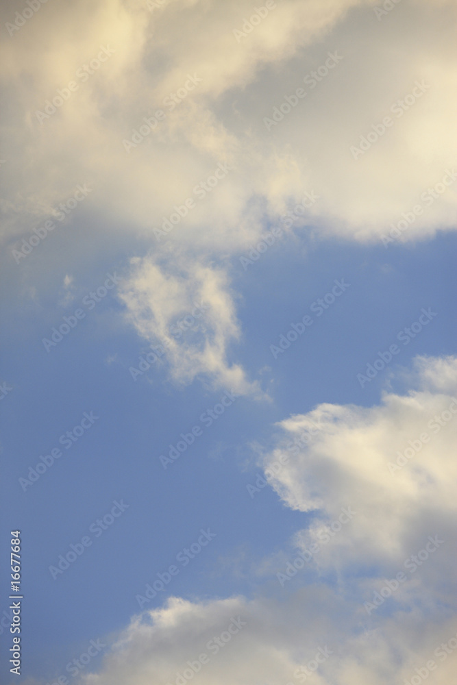 Fototapeta premium 雲