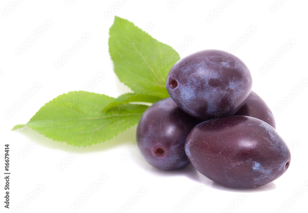Plums Plums