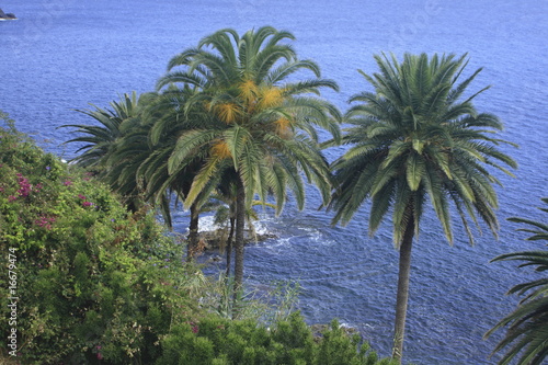 Madeira  Funchal