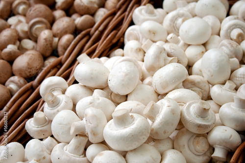 mushrooms in baskets