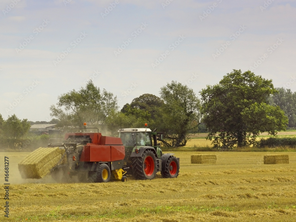 Obraz premium baling straw