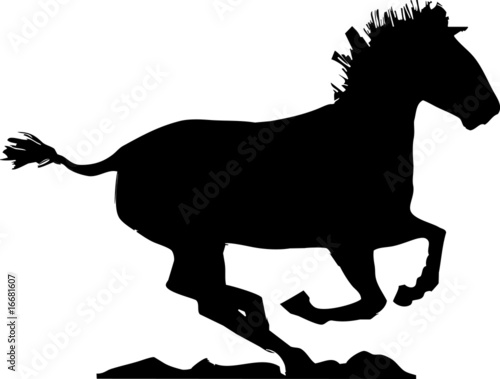 Galloping Horse Shadow