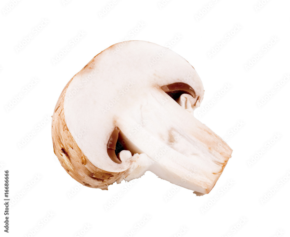 Fototapeta premium Button mushroom