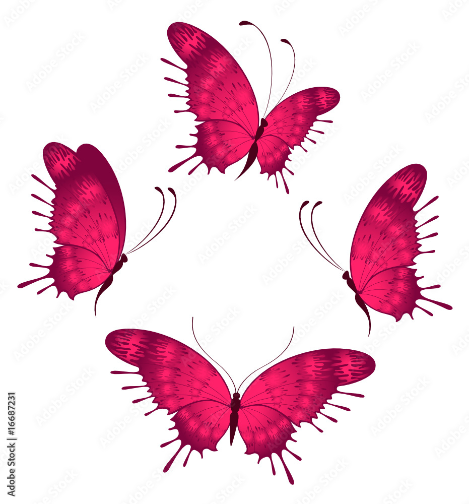 Fototapeta premium Beautiful tropical butterfly