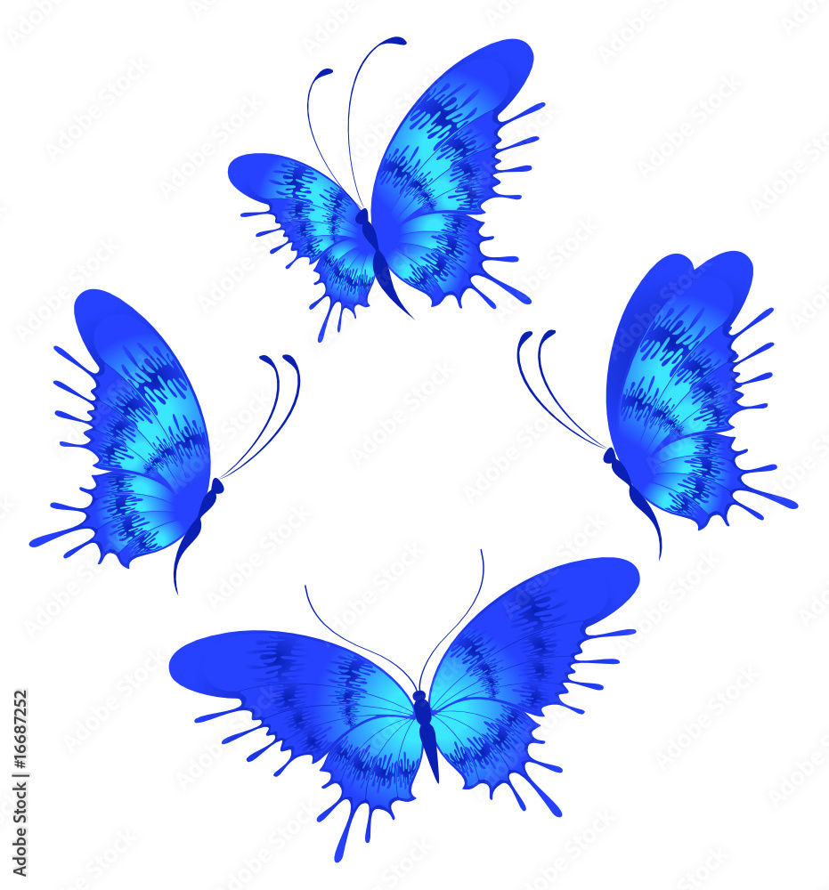 Beautiful tropical butterfly Beautiful tropical butterfly