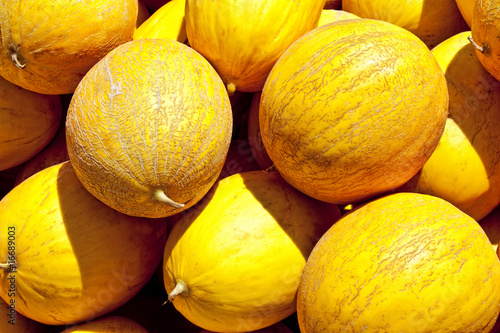 yellow honeydew melons