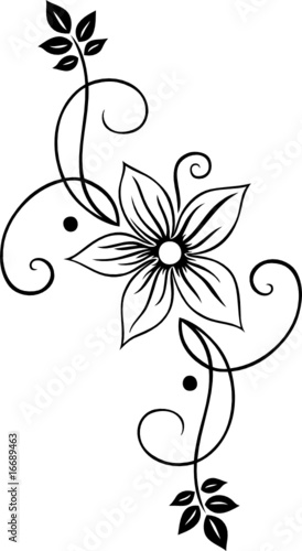 Blume, Blüte, Ranke, filigran, floral, ornamental