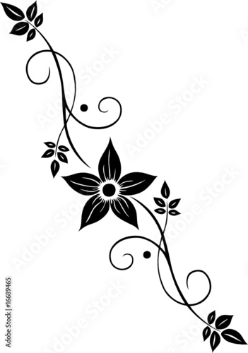 Blume, Blüte, Ranke, filigran, floral, ornamental