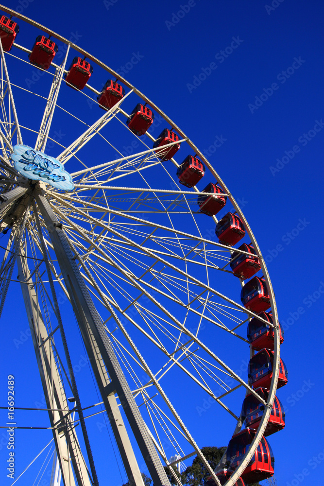 Ferris Wheel Theme Park Ride