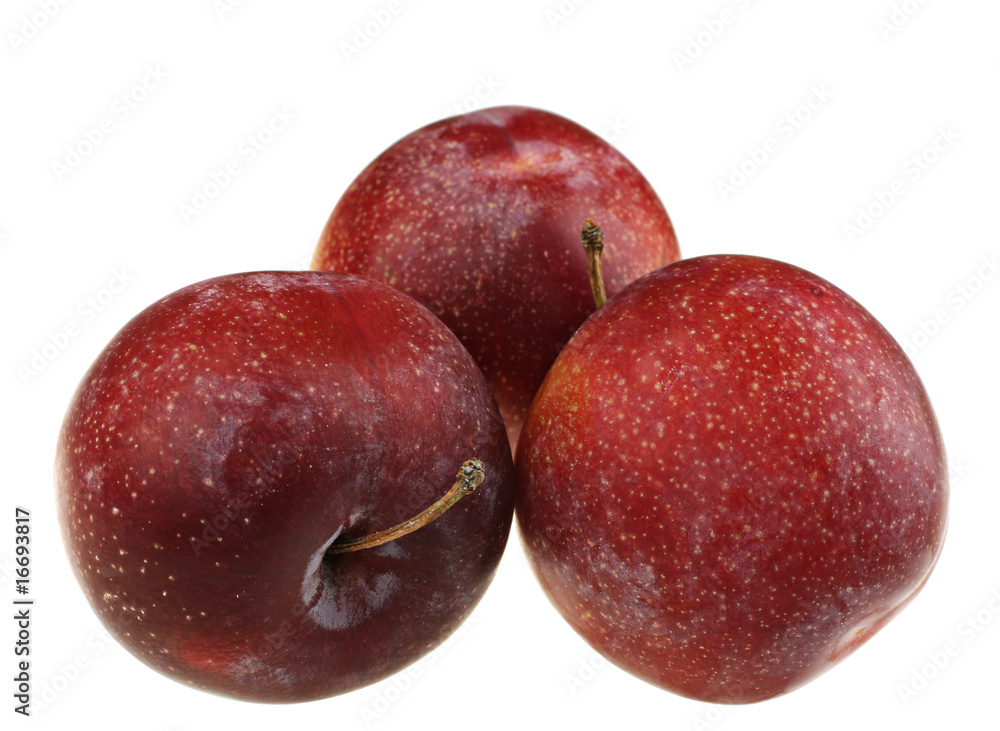 Obraz premium Plum fruit