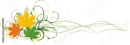 Three varicolored maple leaves. Banner. Vector