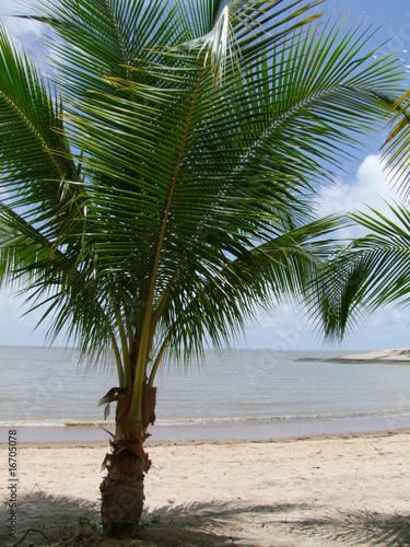 Kourou - Bord de mer