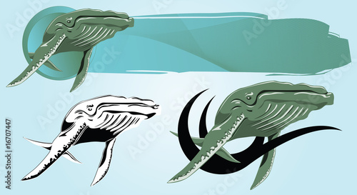 Vector drawing of a floating Whale for design and tattoos