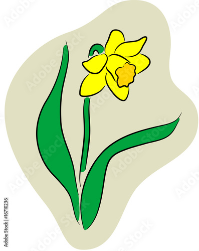 Fototapeta Naklejka Na Ścianę i Meble -  Narcissus logo