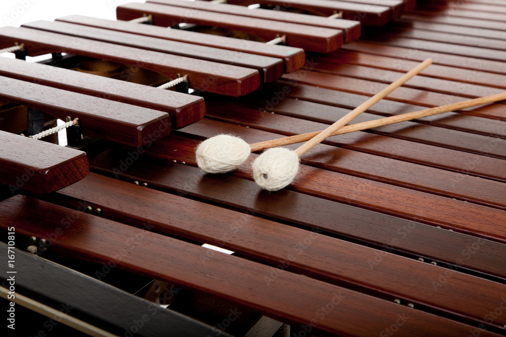 Obraz premium Marimba on White