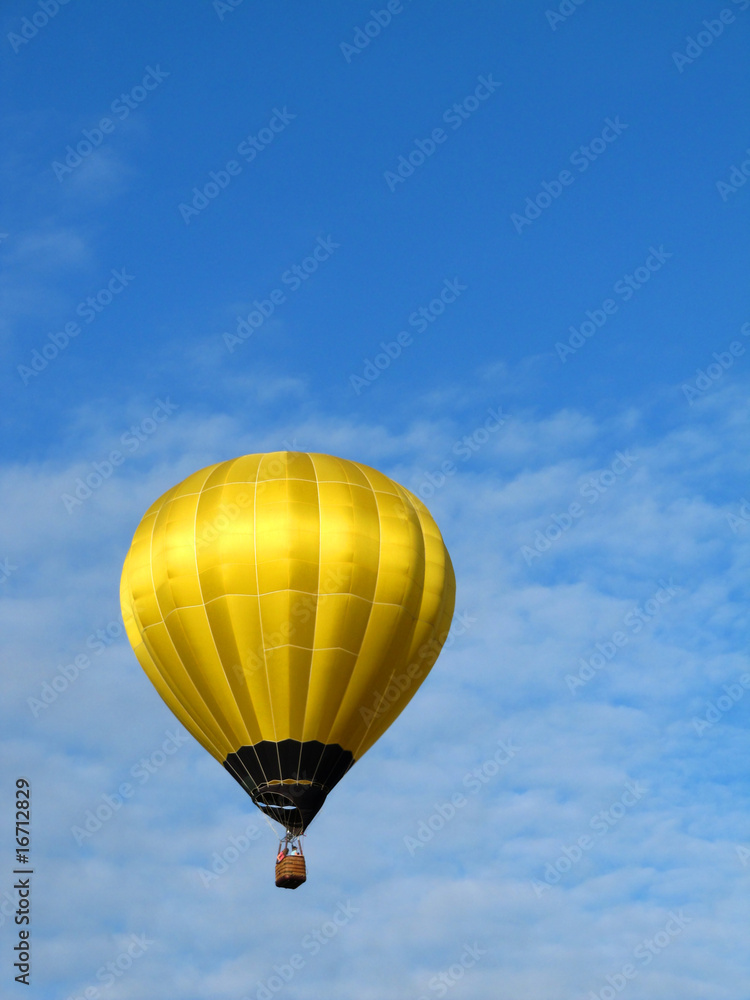 Naklejka premium Hot Air Balloon