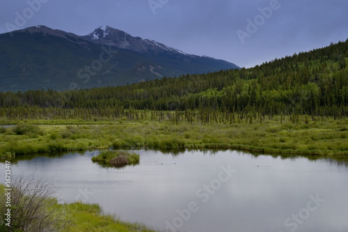 mountain lake