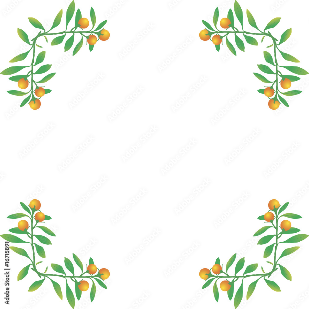 Fototapeta premium cornice vegetale